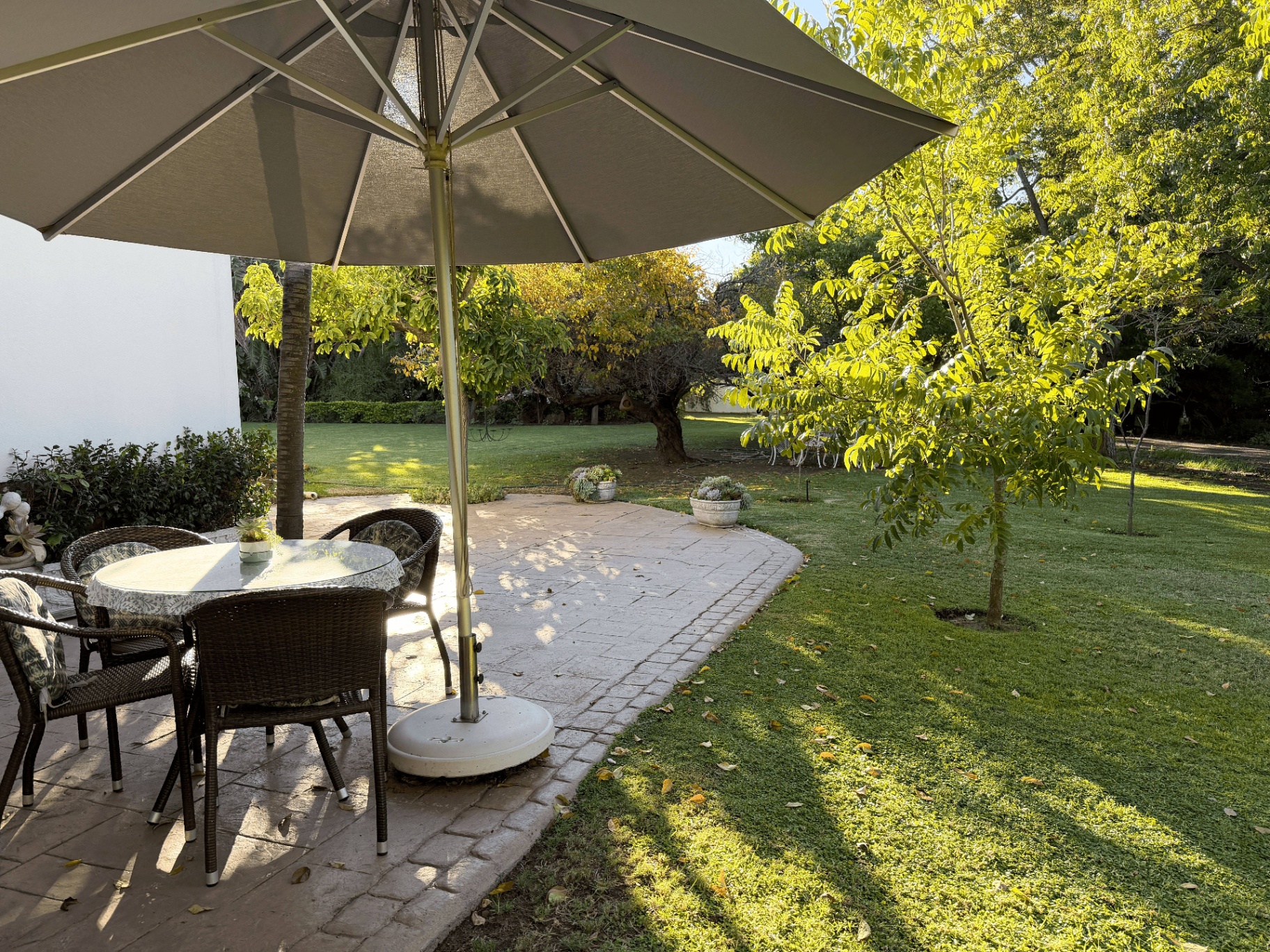Shaded garden patio with table and chairs