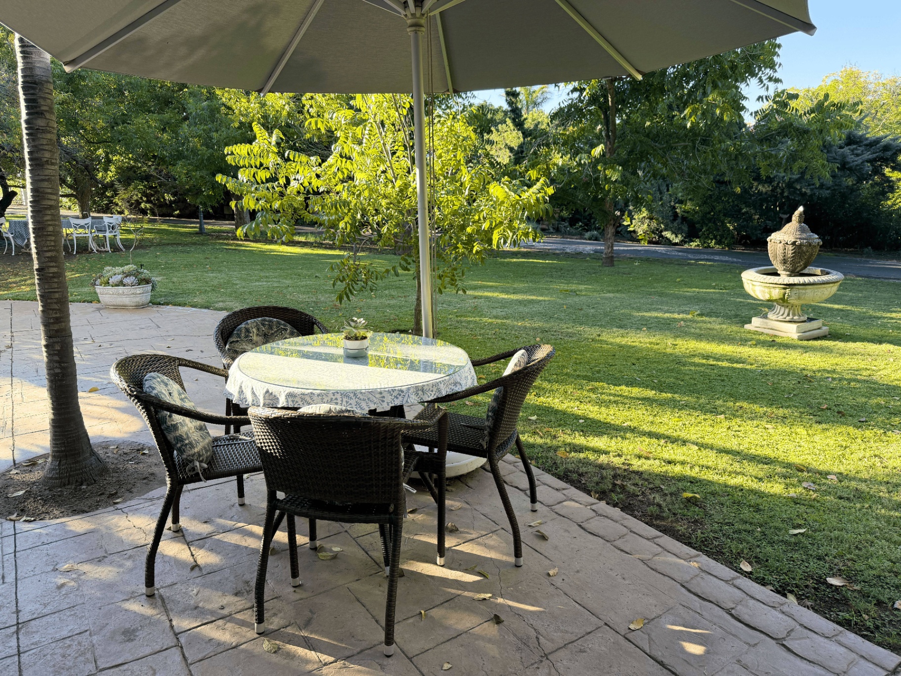 Garden patio dining area in the afternoon sun